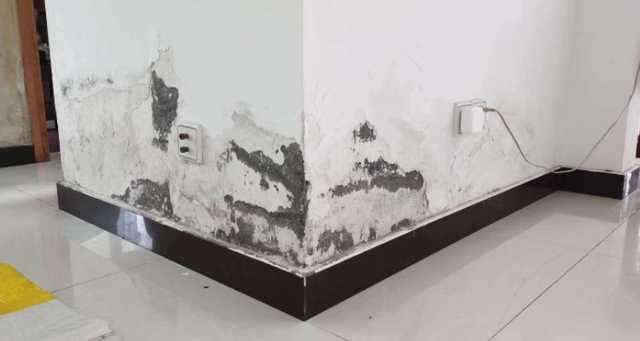 墻面墻壁防水